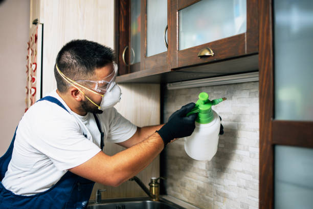 Best Pest Control Near Me  in North Edwards, CA