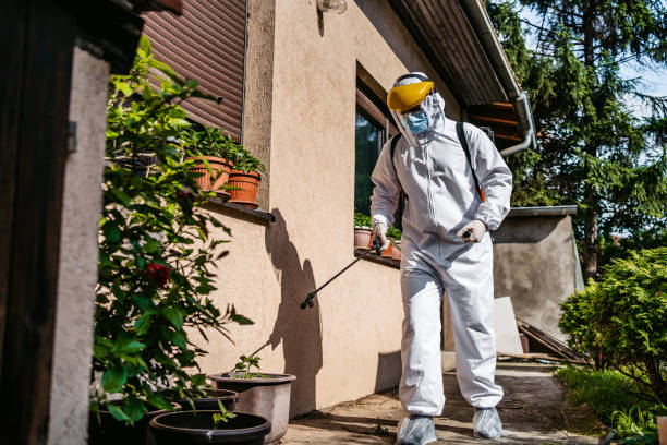 Best Spider Control Near Me  in North Edwards, CA