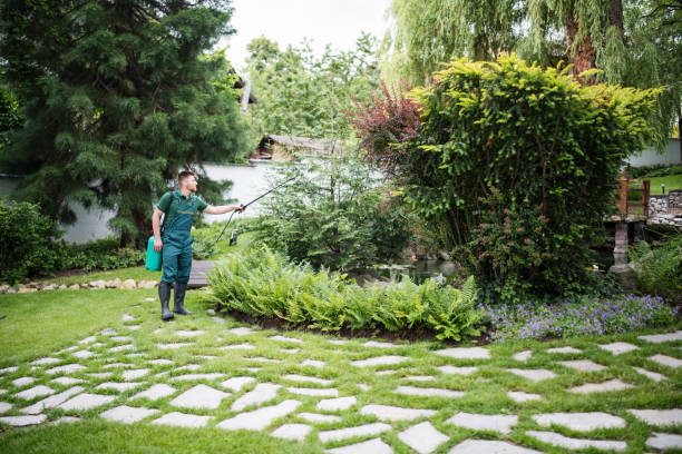 Best Mosquito Control Services  in North Edwards, CA