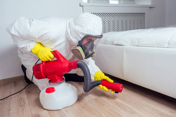 Best Bed Bug Extermination  in North Edwards, CA