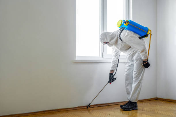 Best Residential Pest Control  in North Edwards, CA