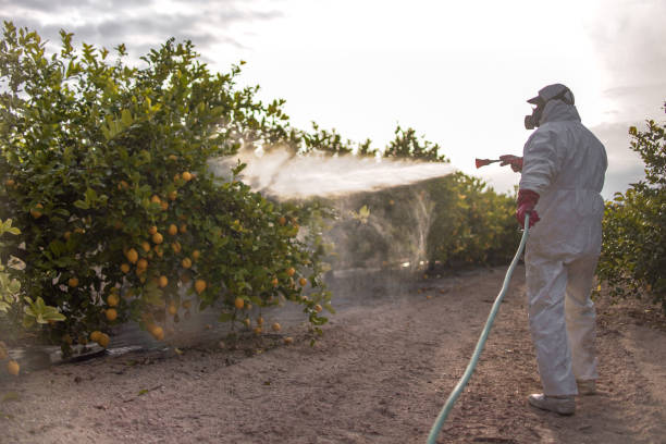 Best Best Pest Control Companies  in North Edwards, CA