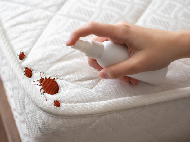 Pest Prevention Services in North Edwards, CA