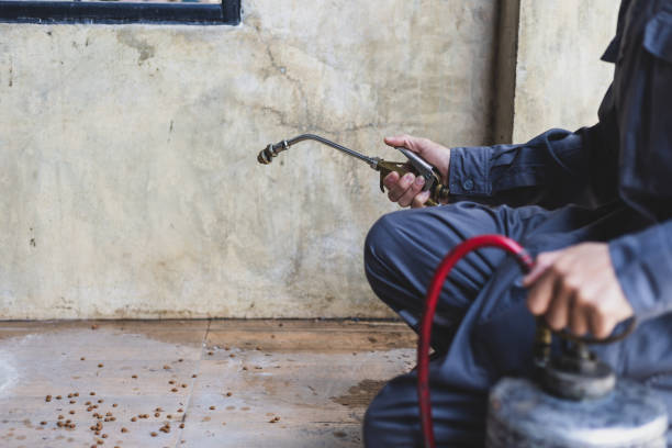 Best Pest Inspection Near Me  in North Edwards, CA