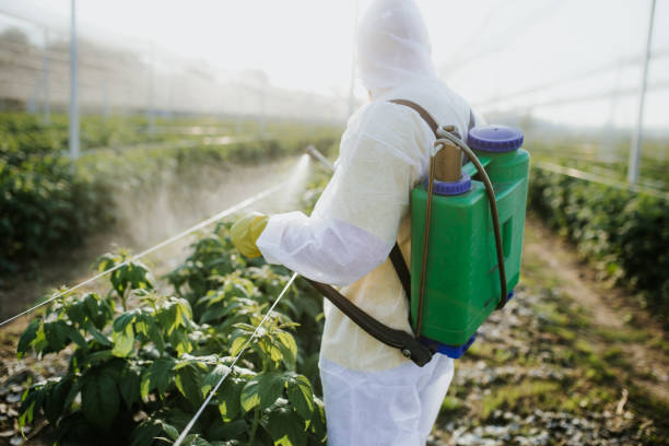 Best Pest Prevention Services  in North Edwards, CA